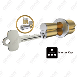 צילינדר הניתן להחלפה בדירות Master Key רבות R8）