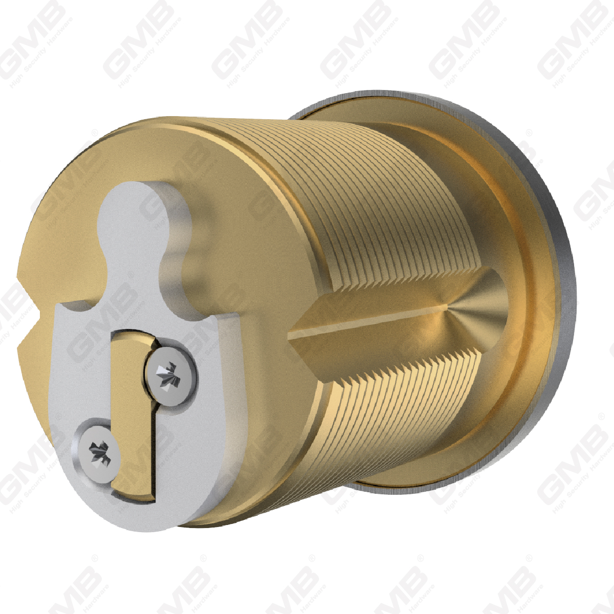 צילינדר הניתן להחלפה בדירות Master Key רבות R8）